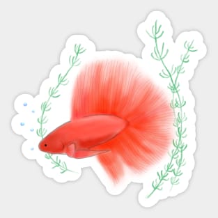Betta Fish Red 2 Sticker
